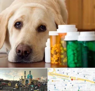 داروخانه دامپزشکی در رسالت