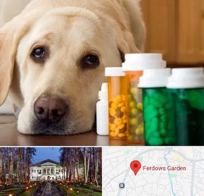 داروخانه دامپزشکی در باغ فردوس