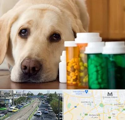 داروخانه دامپزشکی در جنوب تهران