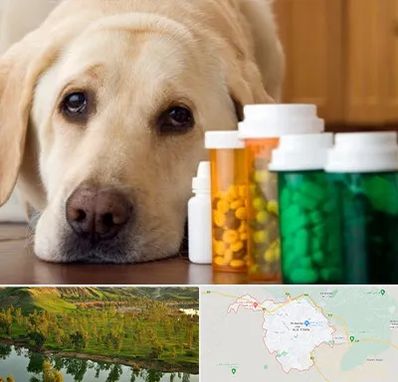 داروخانه دامپزشکی در بهبهان