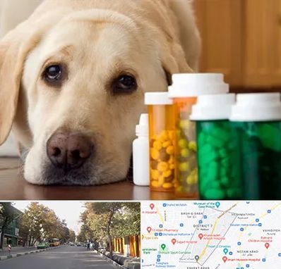 داروخانه دامپزشکی در شریعتی