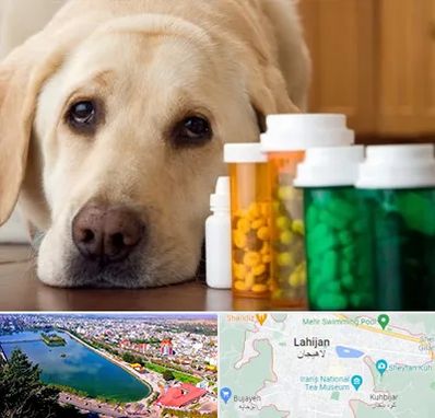 داروخانه دامپزشکی در لاهیجان