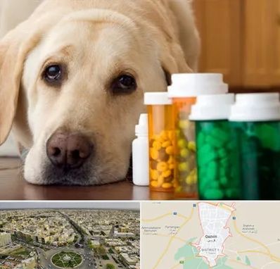 داروخانه دامپزشکی در قزوین