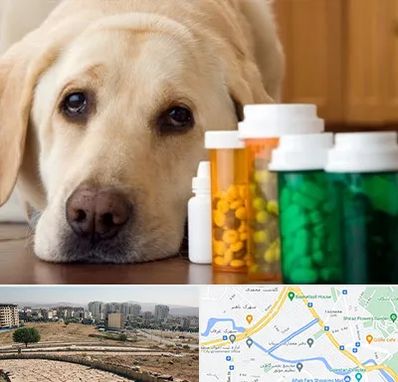 داروخانه دامپزشکی در کوی وحدت شیراز