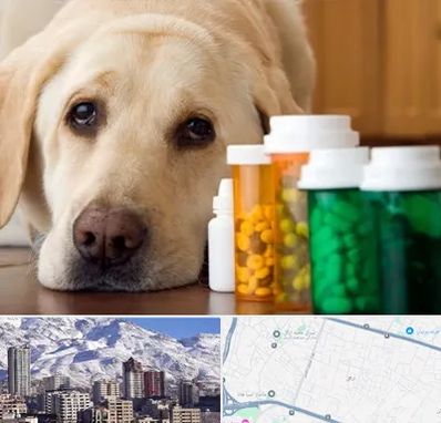 داروخانه دامپزشکی در ازگل