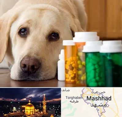 داروخانه دامپزشکی در مشهد