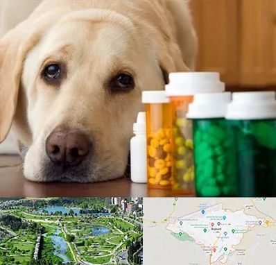 داروخانه دامپزشکی در بجنورد