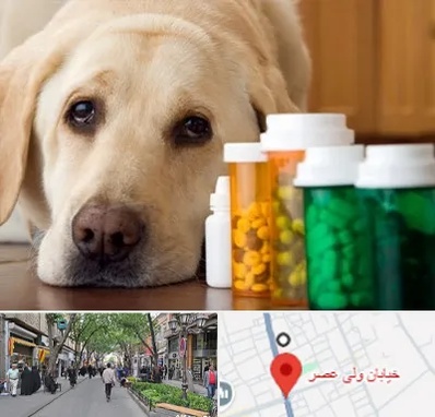 داروخانه دامپزشکی در ولیعصر شهریار