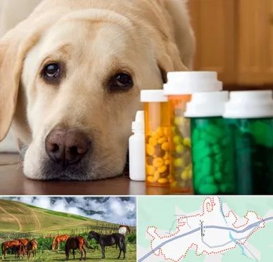 داروخانه دامپزشکی در تالش