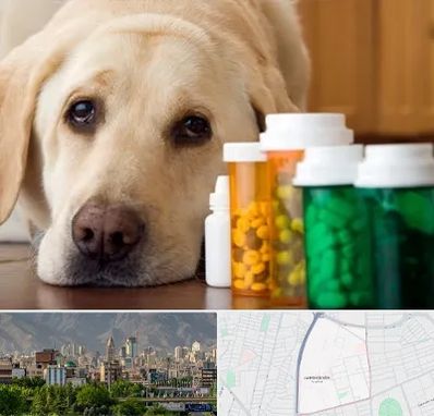 داروخانه دامپزشکی در جمشیدیه