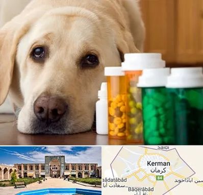 داروخانه دامپزشکی در کرمان