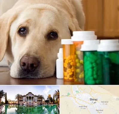 داروخانه دامپزشکی در شیراز