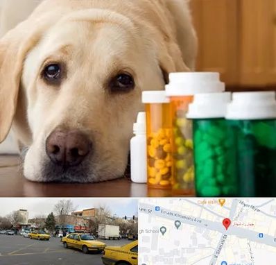 داروخانه دامپزشکی در شهناز تبریز