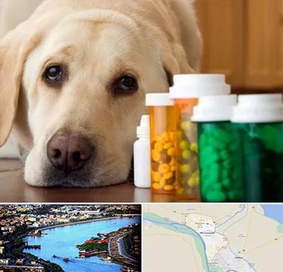 داروخانه دامپزشکی در خرمشهر