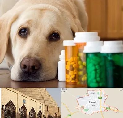 داروخانه دامپزشکی در ساوه