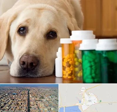 داروخانه دامپزشکی در بندر ماهشهر