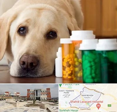 داروخانه دامپزشکی در حکیمیه