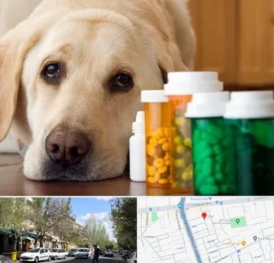 داروخانه دامپزشکی در کوی فیروز تبریز