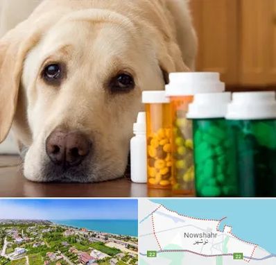 داروخانه دامپزشکی در نوشهر