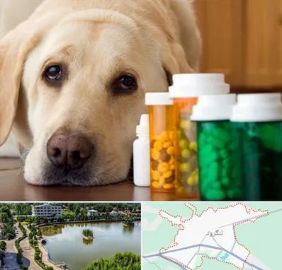 داروخانه دامپزشکی در لنگرود