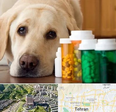 داروخانه دامپزشکی در شمال تهران