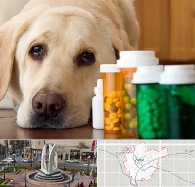 داروخانه دامپزشکی در زابل