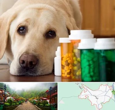 داروخانه دامپزشکی در فومن