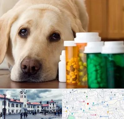 داروخانه دامپزشکی در میدان شهرداری رشت