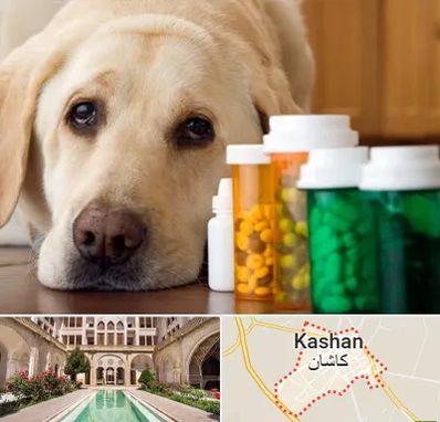 داروخانه دامپزشکی در کاشان