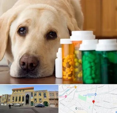 داروخانه دامپزشکی در زنبیل آباد قم