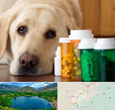 داروخانه دامپزشکی در رودبار