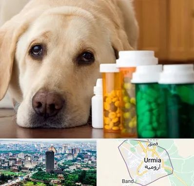 داروخانه دامپزشکی در ارومیه