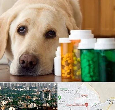 داروخانه دامپزشکی در عظیمیه کرج 