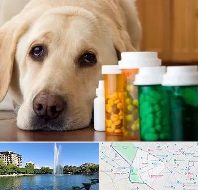 داروخانه دامپزشکی در کوهسنگی مشهد