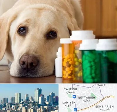 داروخانه دامپزشکی در قیطریه 