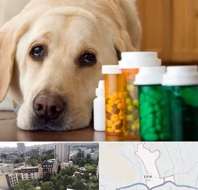 داروخانه دامپزشکی در اوین