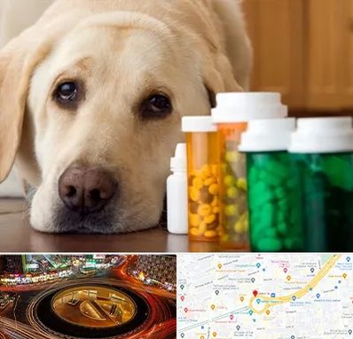 داروخانه دامپزشکی در میدان ولیعصر