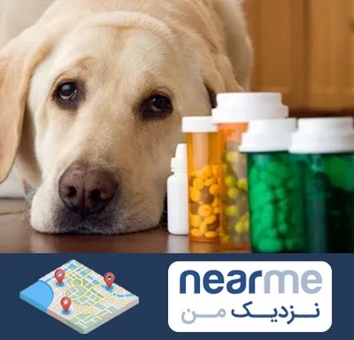 داروخانه دامپزشکی در نزدیک من