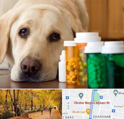 داروخانه دامپزشکی در چهارباغ اصفهان
