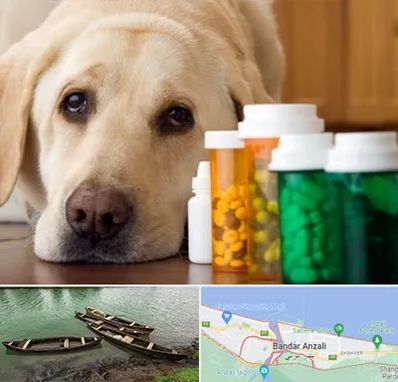 داروخانه دامپزشکی در بندر انزلی