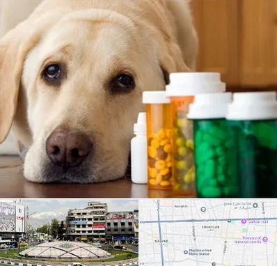 داروخانه دامپزشکی در مرکز تهران