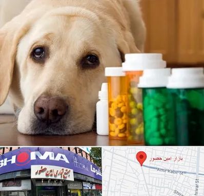 داروخانه دامپزشکی در امین حضور