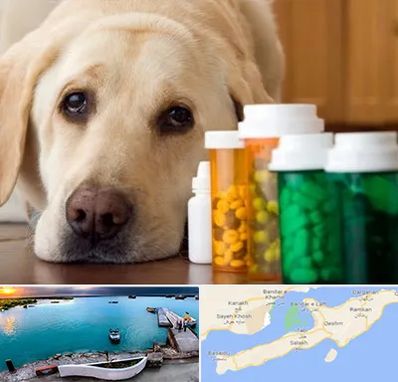 داروخانه دامپزشکی در قشم