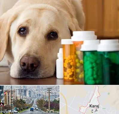 داروخانه دامپزشکی در گوهردشت کرج 