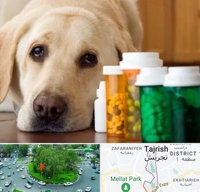 داروخانه دامپزشکی در تجریش 