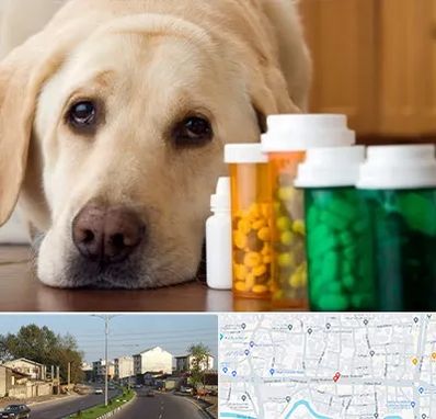 داروخانه دامپزشکی در ضیابری رشت