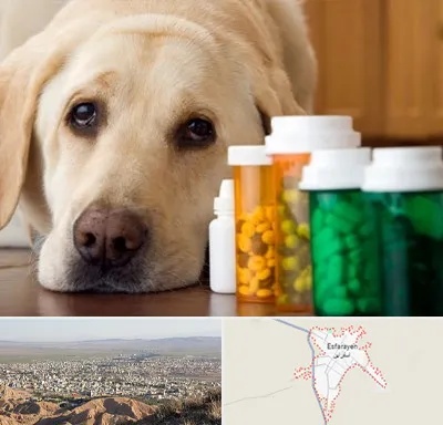 داروخانه دامپزشکی در اسفراین