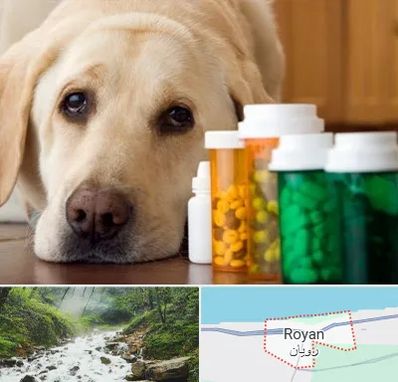 داروخانه دامپزشکی در رویان