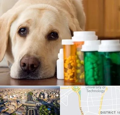 داروخانه دامپزشکی در استاد معین 