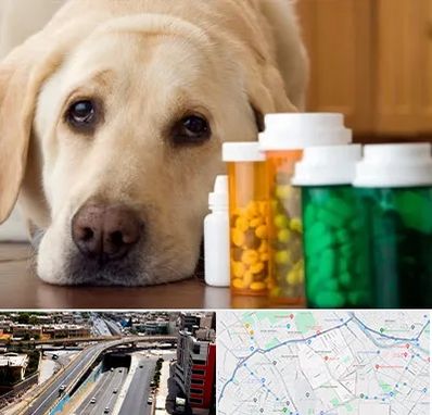 داروخانه دامپزشکی در ستارخان شیراز